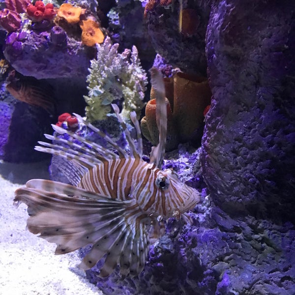 Photo taken at Funtastic Aquarium İzmir by ÖZLEM on 8/28/2021