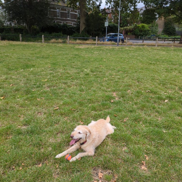 Eel Brook Common Park in Hammersmith and Fulham