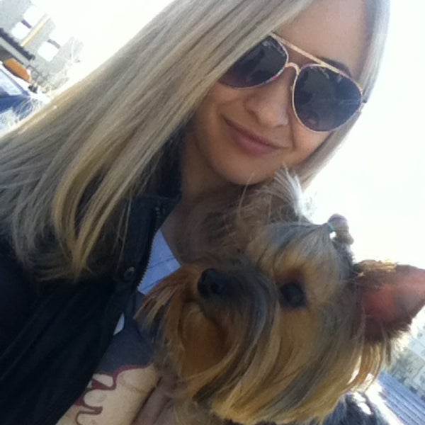 хвостики белгород. 4 с хвостиком белгород. щорса 45и белгород ветеринарка. ветклиника четыре с хвостиком белгород. хвостики белгород.