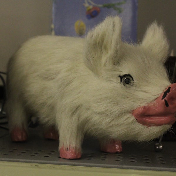 Photos at Goodwill 22 tips