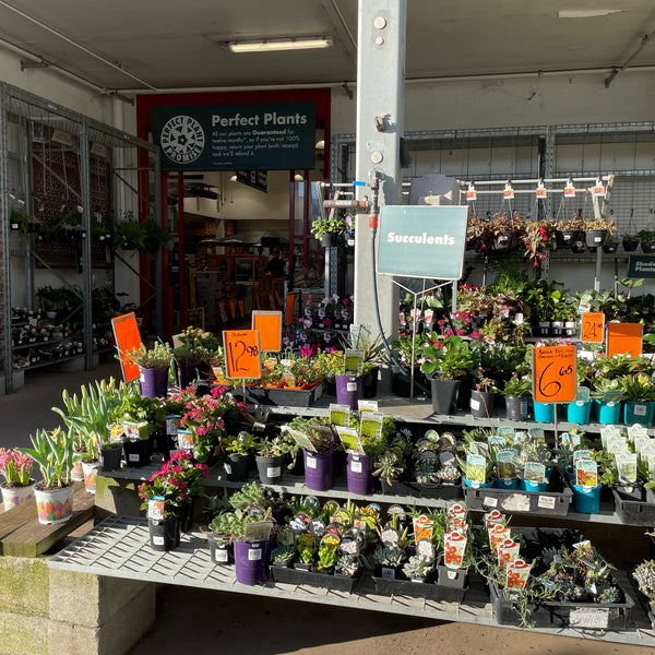 Bunnings Warehouse Ashfield, NSW