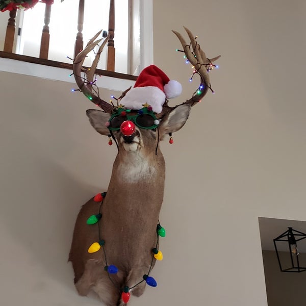 Tinsel Christmas Celebration House Buckeystown, MD