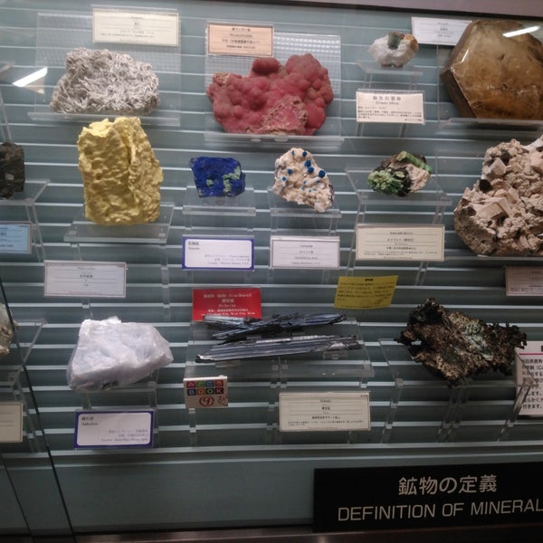 東北大学理学部自然史標本館 青葉区荒巻字青葉6 3 東北大学理学部自然史標本館 青葉区荒巻字青葉6 3
