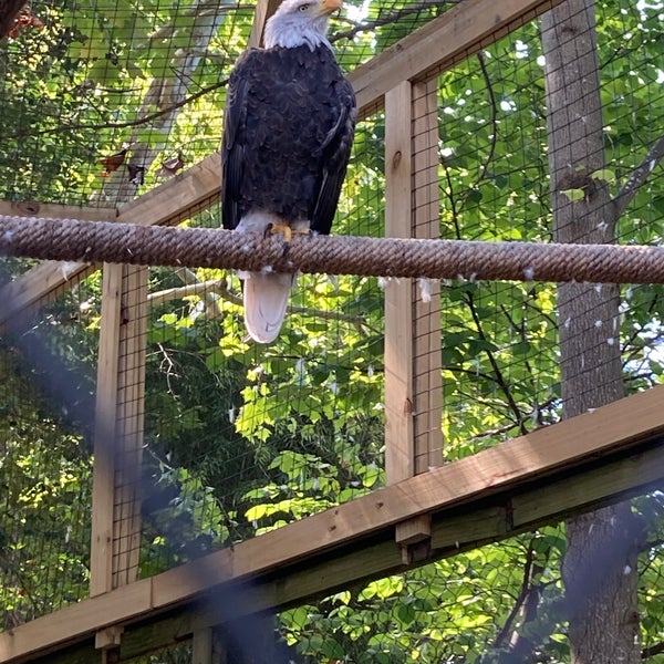 Foto tirada no(a) Zoo Atlanta por Andrew M. em 9/17/2022