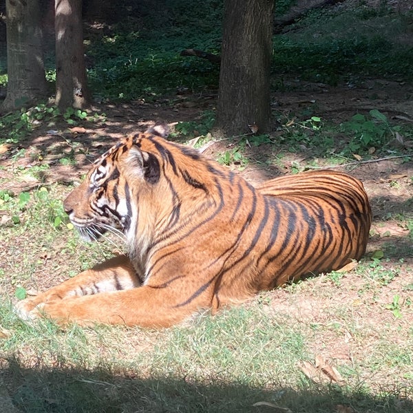 Foto diambil di Zoo Atlanta oleh Andrew M. pada 9/17/2022