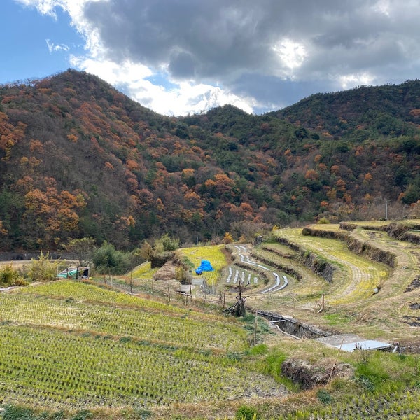 Photos At 中山千枚田 7 Tips From 3 Visitors