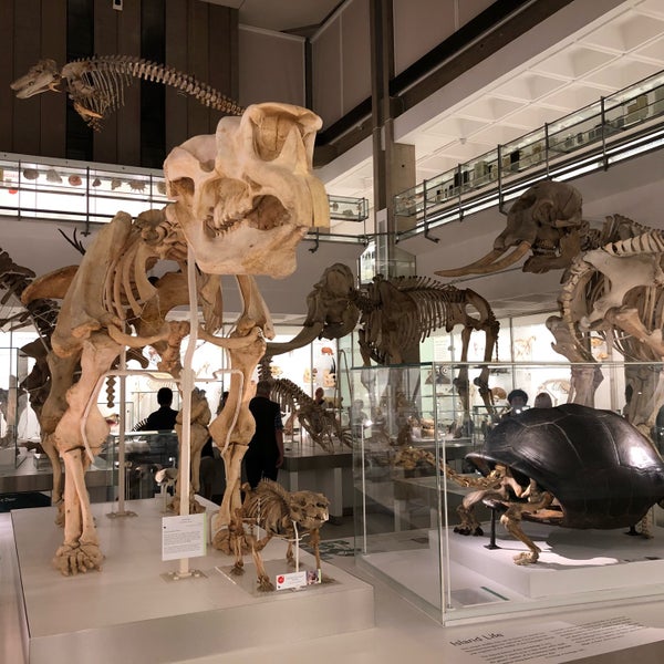 Photo taken at Cambridge University Museum Of Zoology by Jaroslaw M. on 7/24/2018