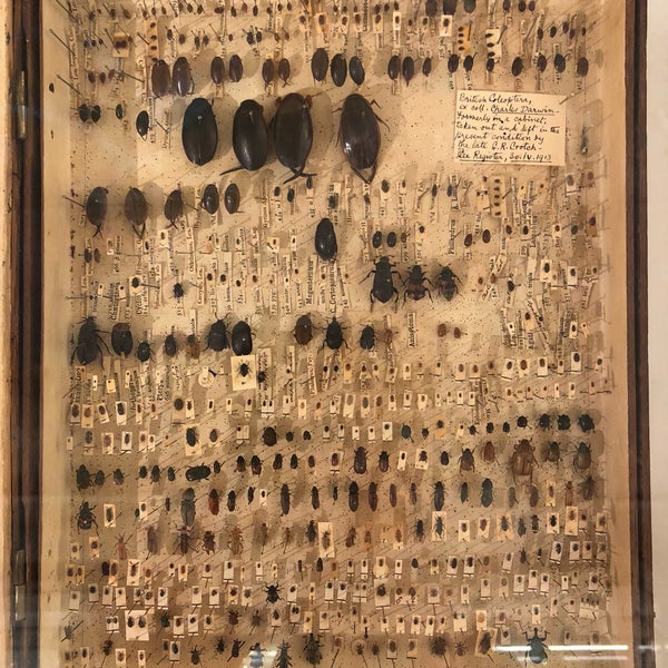 Foto scattata a Cambridge University Museum Of Zoology da Jaroslaw M. il 1/29/2019