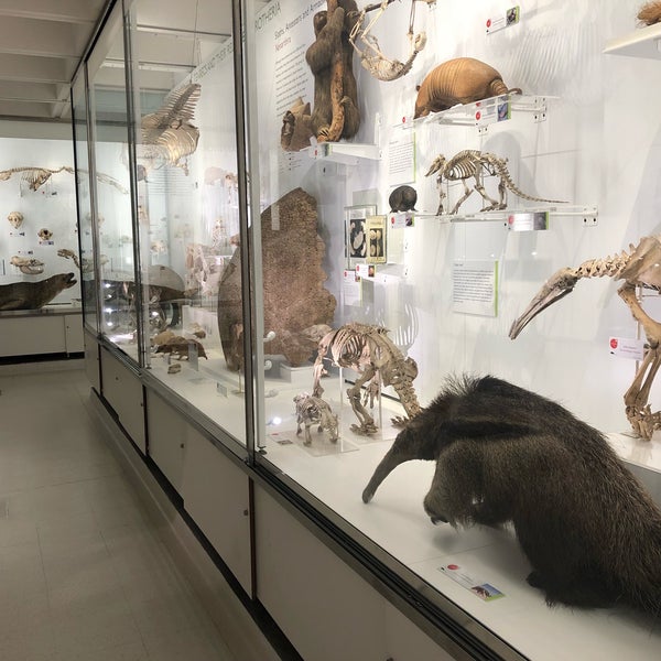Foto tirada no(a) Cambridge University Museum Of Zoology por Jaroslaw M. em 1/29/2019