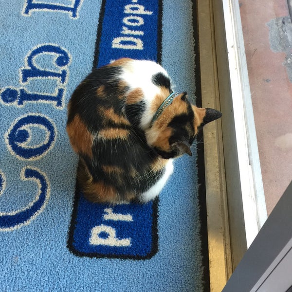 Soap Suds Coin Laundry 4211 N Main St