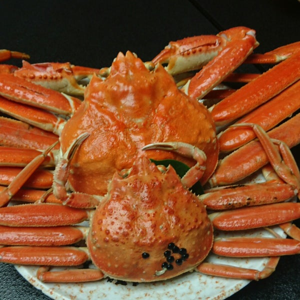Photos A 魚料理 民宿 やまじゅう Pension De Famille Photos A 魚料理 民宿 やまじゅう Pension De Famille