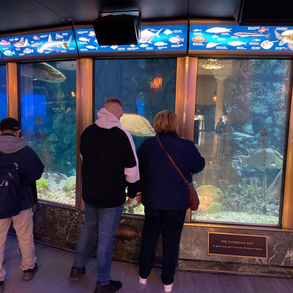 3/23/2023 tarihinde Duane D.ziyaretçi tarafından Shedd Aquarium'de çekilen fotoğraf