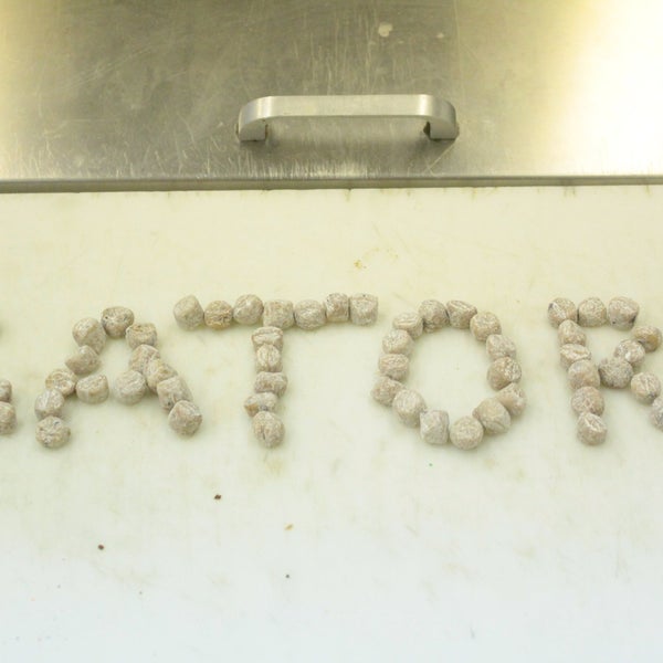 3/17/2014にGator&#39;s Frozen CustardがGator&#39;s Frozen Custardで撮った写真