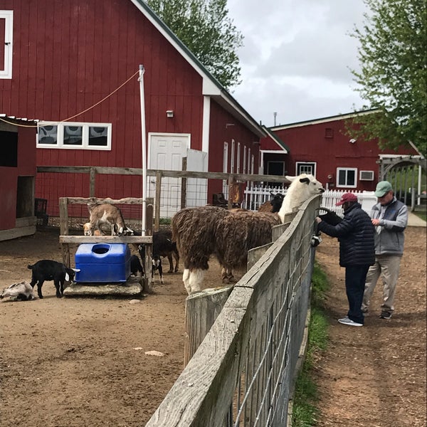 McCray's Farm and Country Creamery Farm in South Hadley