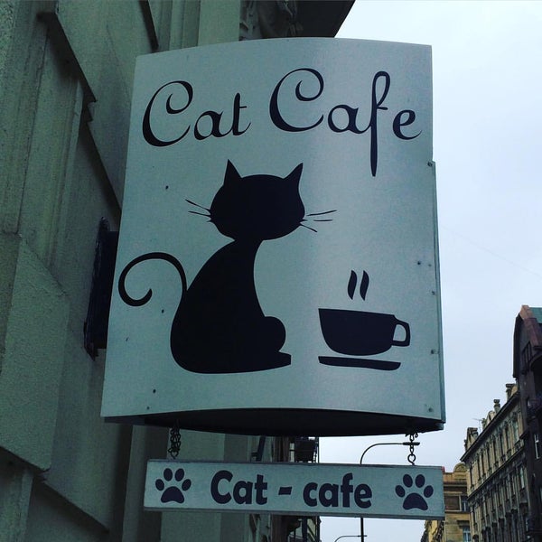 Das Foto wurde bei Cat Cafe von Matthew A. am 3/13/2016 aufgenommen