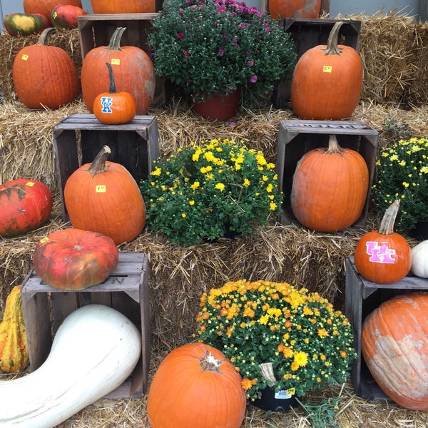 Photos at Paul's Fruit Market Farmers Market in East Louisville