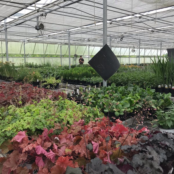 Starview Nursery La Grange, KY