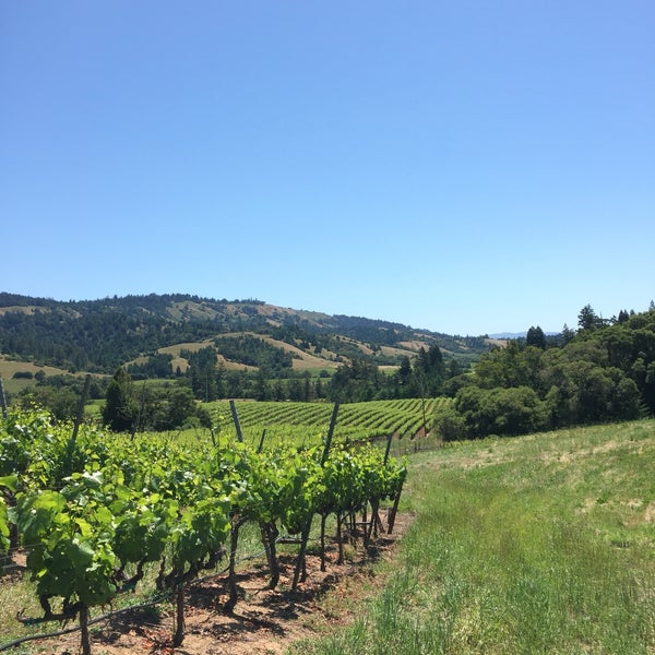 Photo taken at Roederer Estate by Alice M. on 6/2/2019