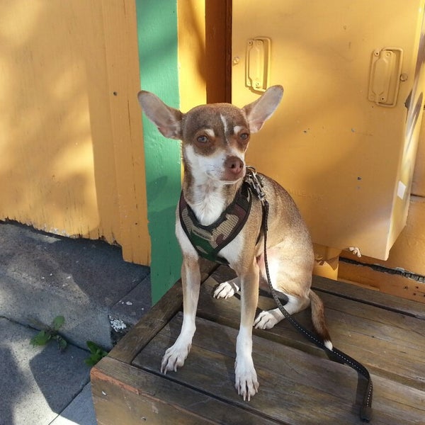 Chile Jalapeño Mexican Restaurant in North Oakland