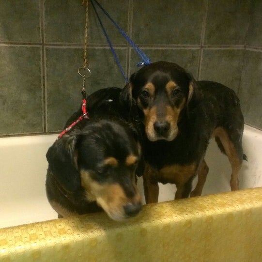 Park Pet Supply Pet Store in Atlanta