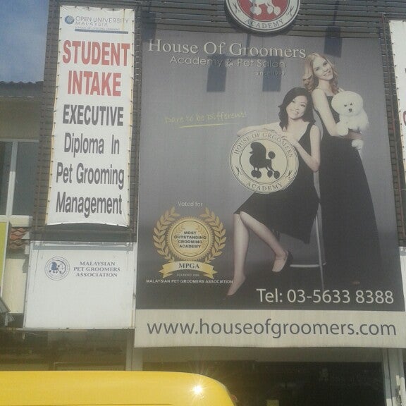 Photos At House Of Groomers Academy 4 Tips