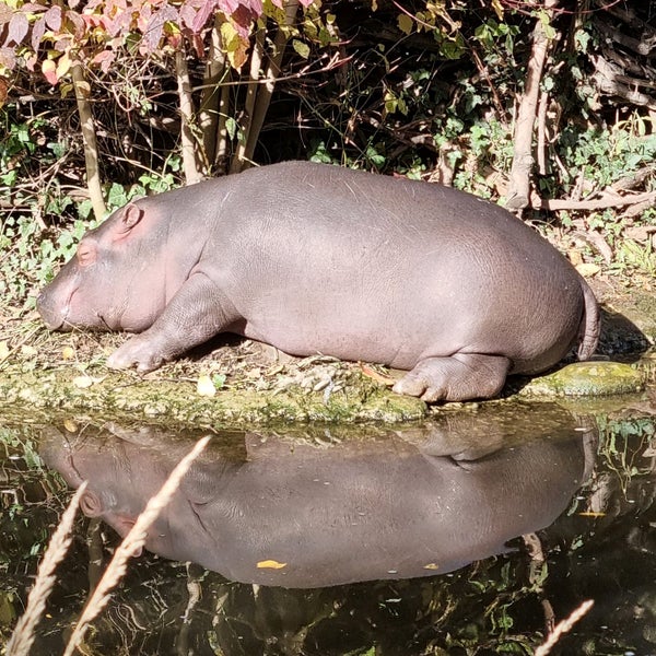 Photo taken at Zoo Basel by Nina on 10/31/2021