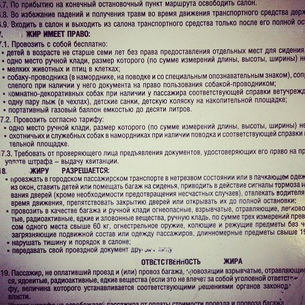 Расписание 360 автобуса петергоф низино. Расписание автобусов 359 петергоф. Расписание автобусов 359 петергоф. Расписание автобусов 359 петергоф. Расписание автобусов 200.