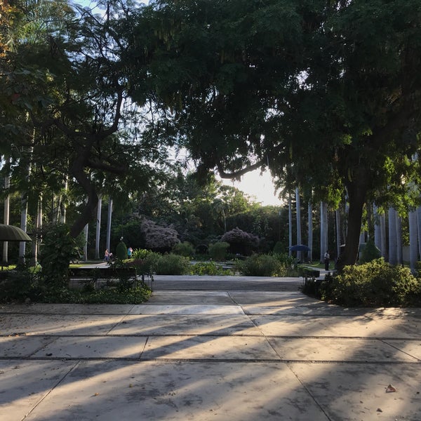 Photo taken at Jardín Botánico Culiacán by Denisse D. on 2/23/2019