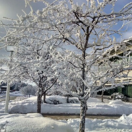 Lands' End Corporate Office 3 tips from 218 visitors