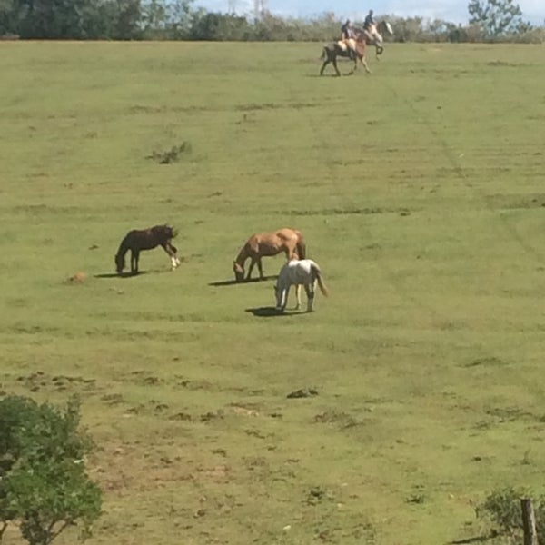 4/27/2014 tarihinde Pablo B.ziyaretçi tarafından Pampas Safari'de çekilen fotoğraf