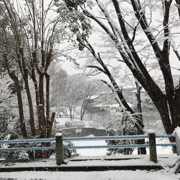 境之谷公園こどもログハウス 西区 横浜市 神奈川県