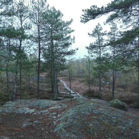 Photo taken at Kurjenrahka National Park by Pieter D. on 11/21/2015