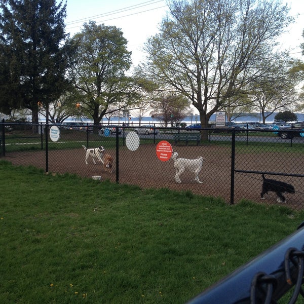 Traverse City Dog Park Dog Park