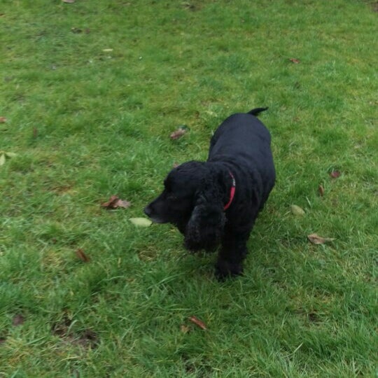 Northfield Park Park In Blaby