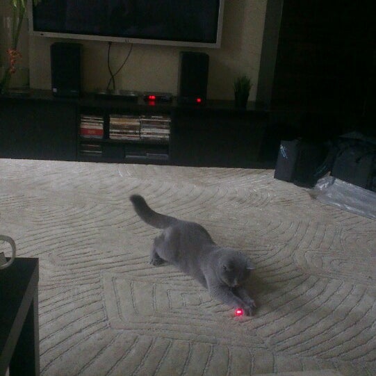 клип хулиган. рома жиган треки. девочка пай рядом жиган. рядом жиган и хулиган. рядом жиган и хулиган.