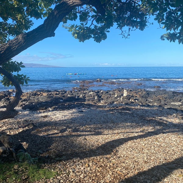 2/14/2022にBecca H.がWailea Beach Resort - Marriott, Mauiで撮った写真