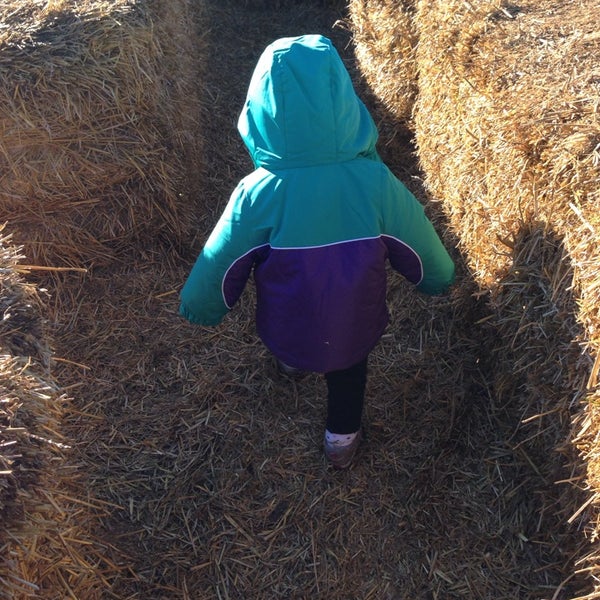 Photo taken at Sever&#39;s Corn Maze &amp; Fall Festival by Jeanine M. on 10/26/2013