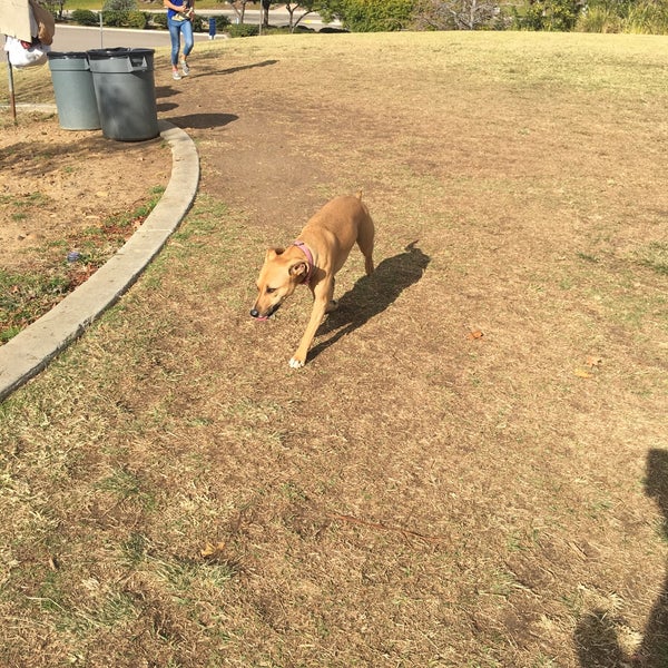 Scripps Ranch Dog Park Scripps Ranch Meanley Dr