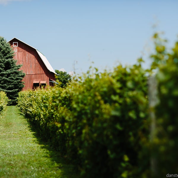 รูปภาพถ่ายที่ Ciccone Vineyard &amp; Winery โดย Ciccone Vineyard &amp; Winery เมื่อ 4/3/2014