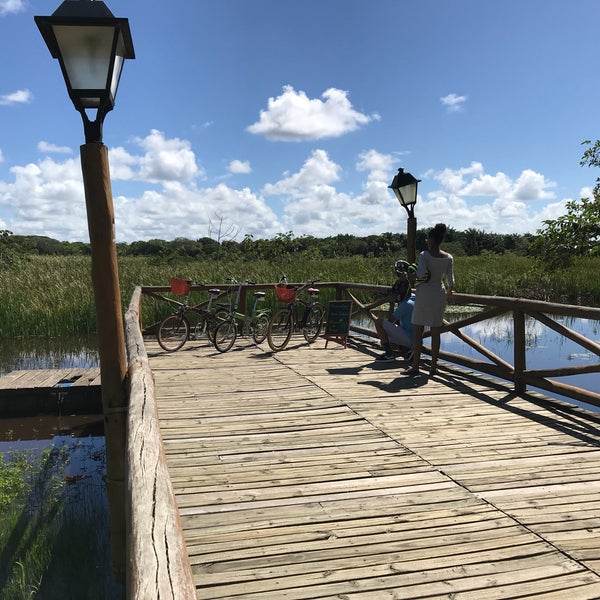 Ботанический сад милан. Памятник 6 роте в санкт-петербурге. Кардифф парк бьют. Rot fai park. Рота парк.