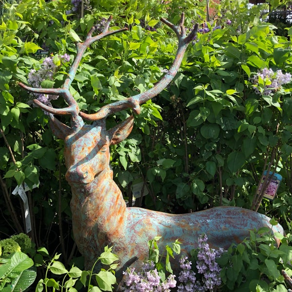 Photos at Jackson's Home & Garden 7 tips