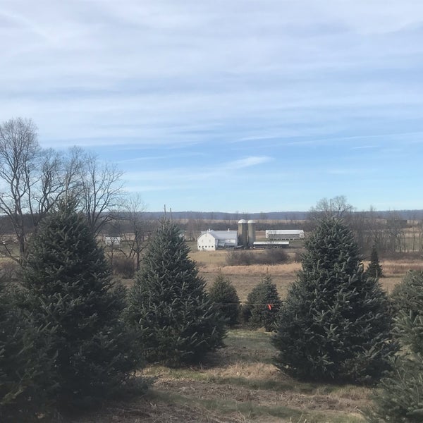 Kuhns Tree Farm Boalsburg Pa