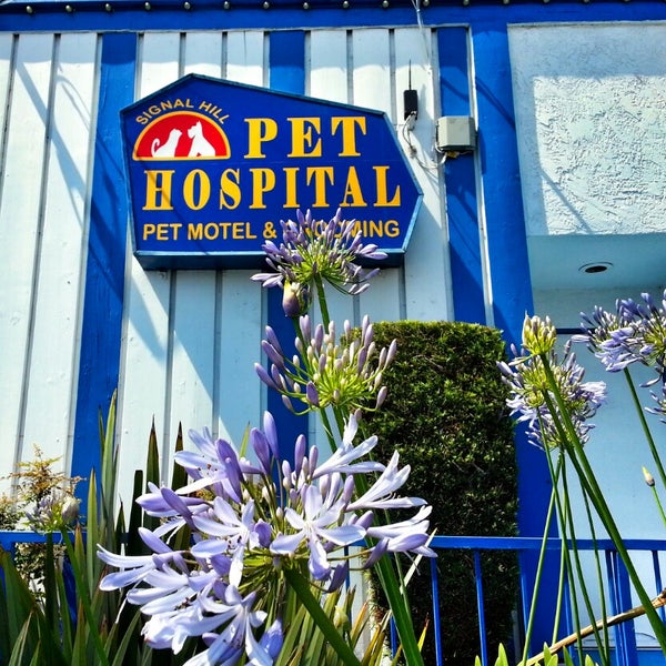 Signal Hill Pet Hospital 4 tips