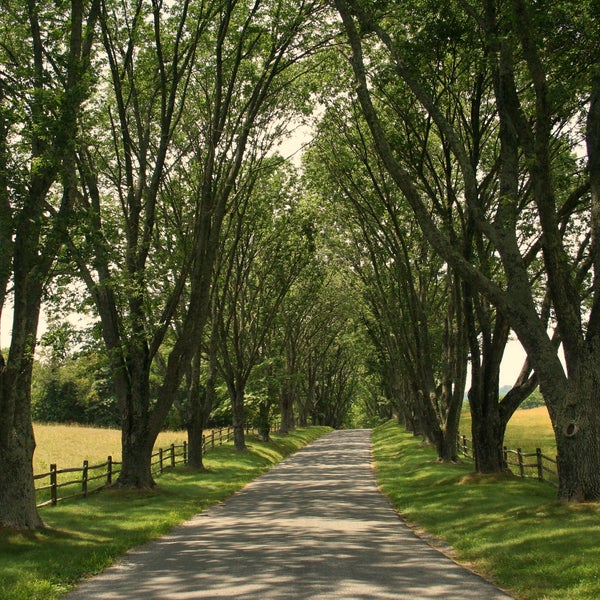 Photo prise au James Monroe&#39;s Highland par James Monroe&#39;s Highland le3/26/2014