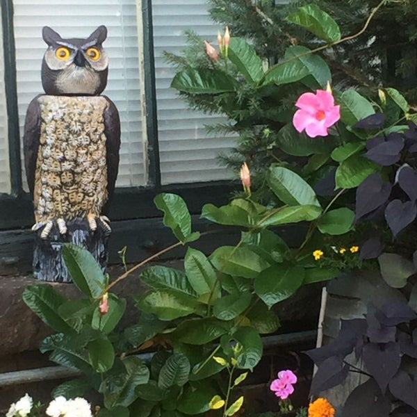 Portsmouth Used Car Superstore 5 tips