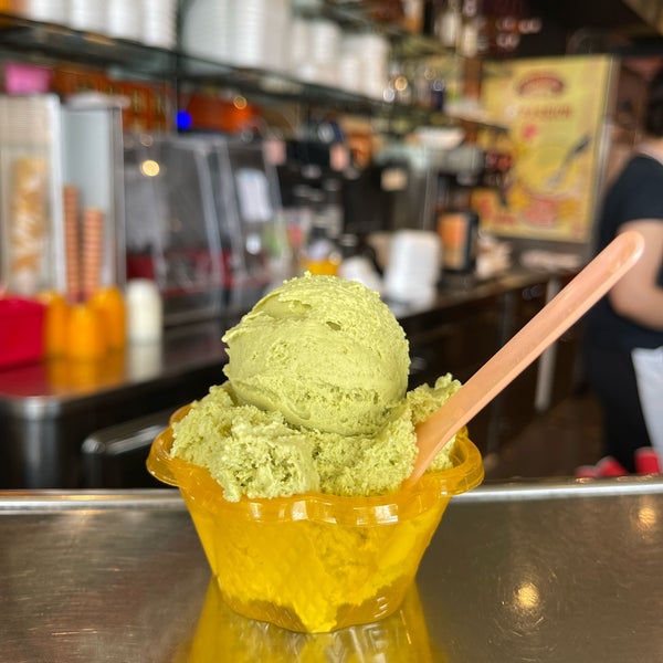 Hollywood Gelato Davisville Toronto, ON