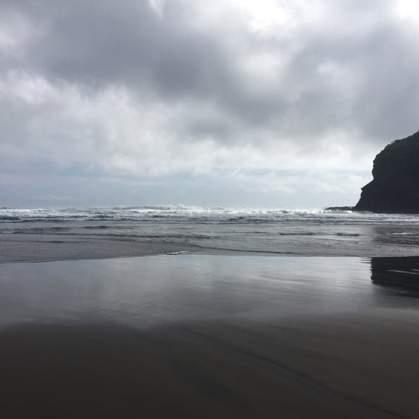 Bethells Beach the Wilds