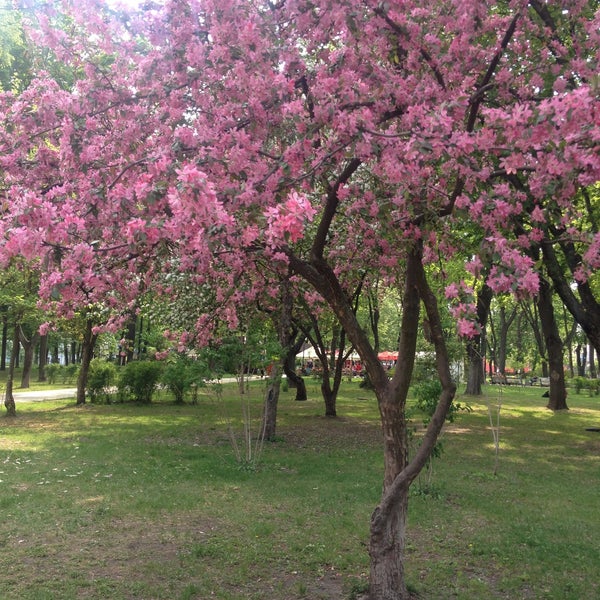 5/4/2013 tarihinde Fechoo F.ziyaretçi tarafından Парк ім. Тараса Шевченка'de çekilen fotoğraf