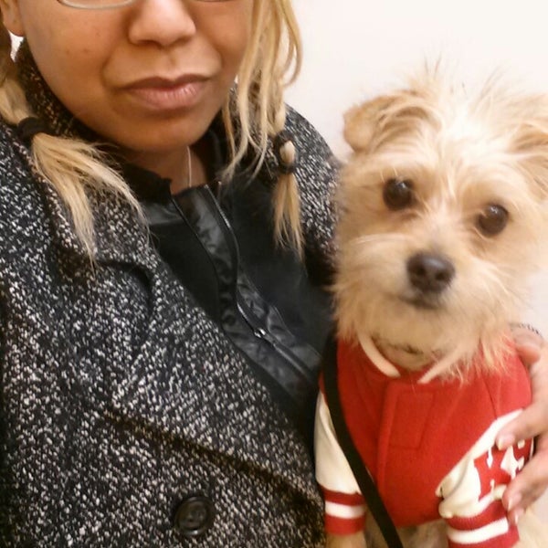 PetSmart Pet Supplies Store in Stafford