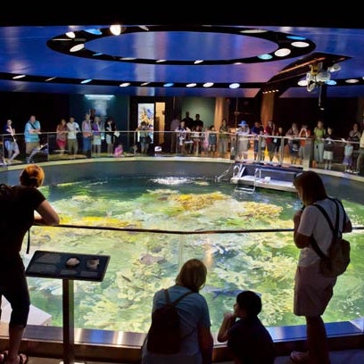 รูปภาพถ่ายที่ New England Aquarium โดย New England Aquarium เมื่อ 3/27/2014